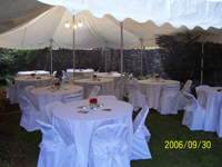 Wedding photo